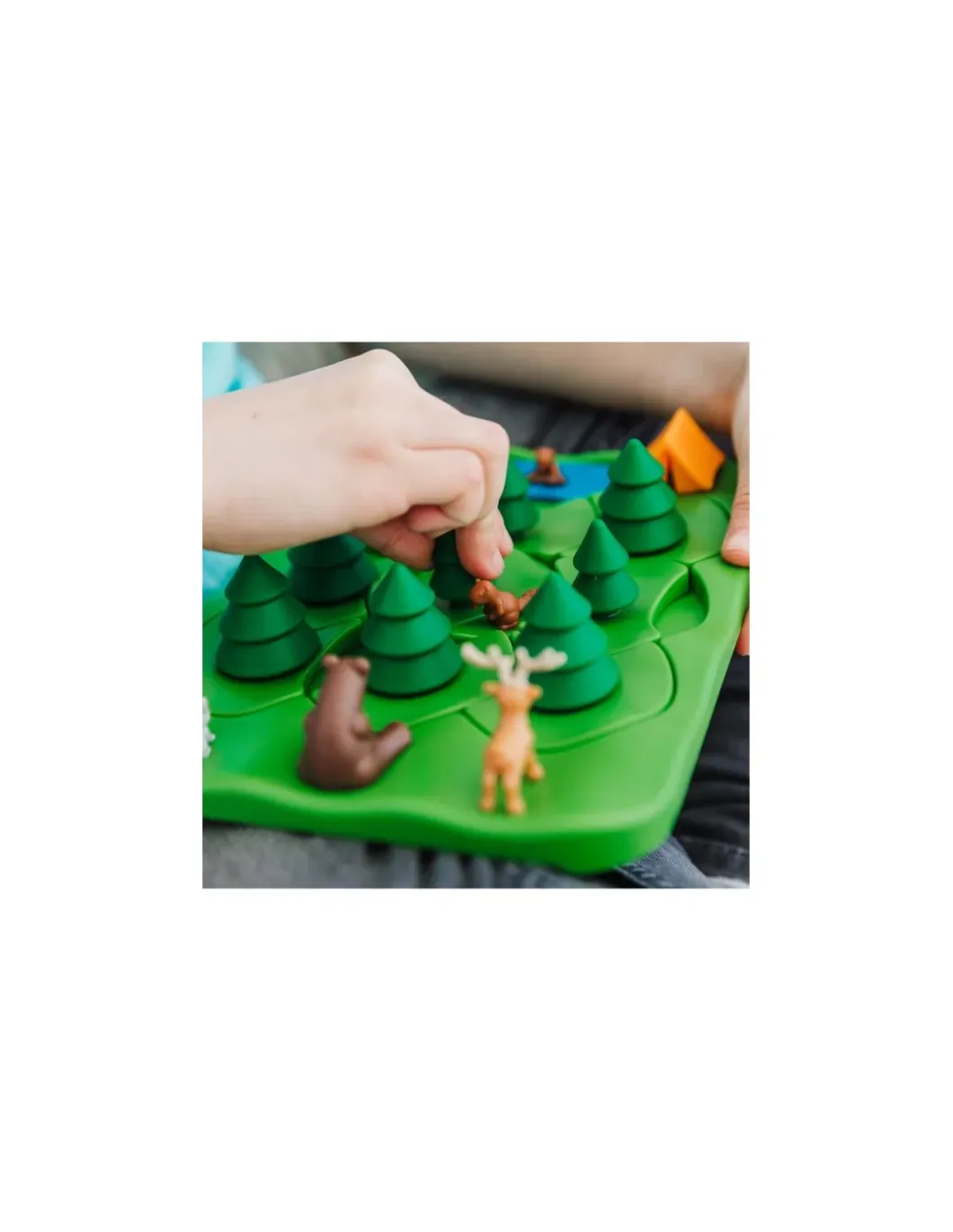Jeu Parc'Ours en forêt - Smartgames