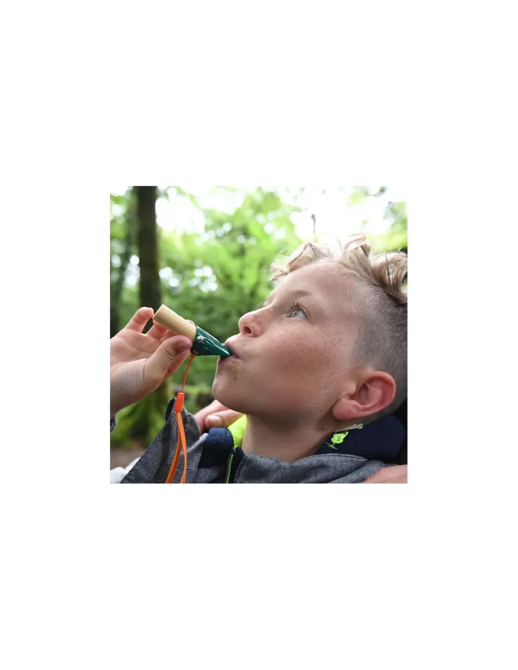 Kit de détective de la nature - Hape