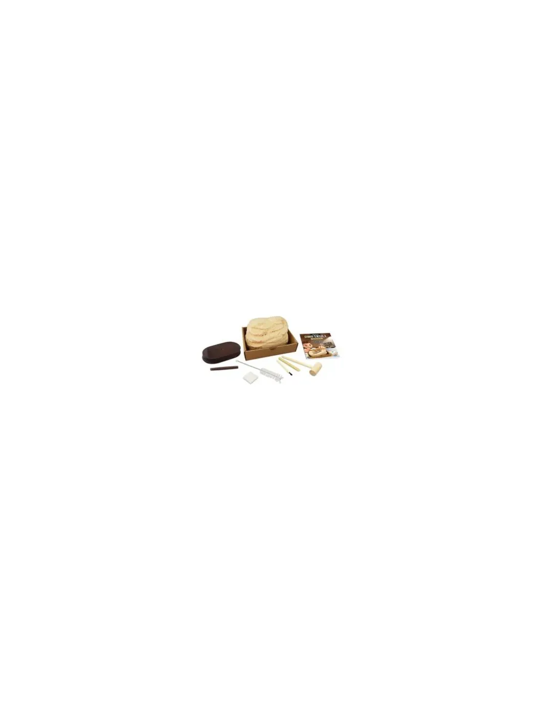 Kit de fouille T-Rex Museum Skull - Buki