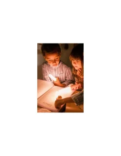 Lampe 3-en-1 Zoo Light Renard - The Zoofamily
