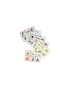 Le loto de la nature - Moulin Roty