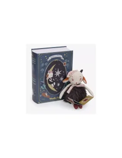 Livre belle nuit Après la pluie - Moulin Roty