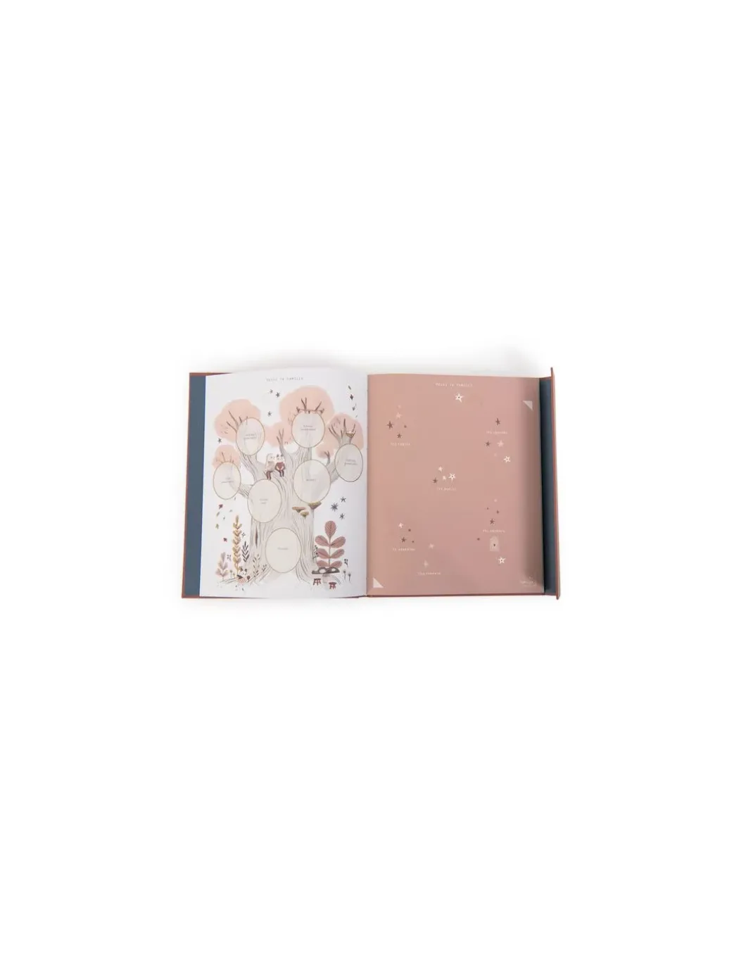 Livre de naissance Après la pluie - Moulin Roty