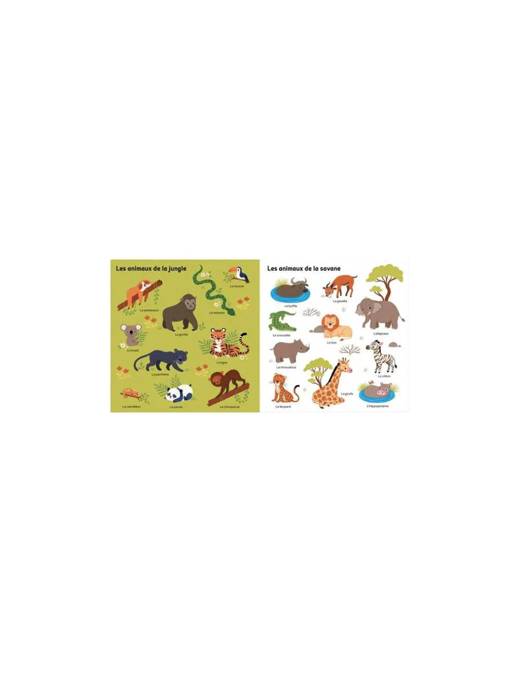Livre mes 100 mots pour découvrir les animaux - Auzou
