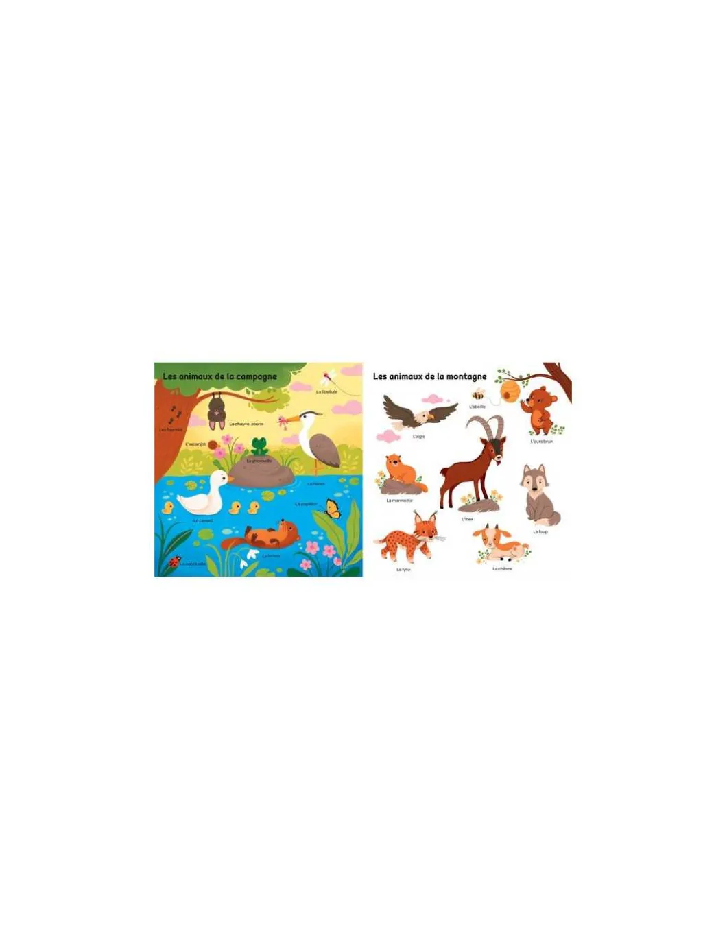 Livre mes 100 mots pour découvrir les animaux - Auzou