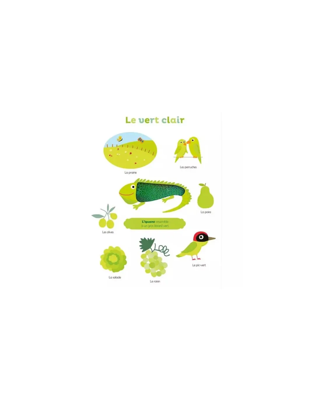 Livre Mes premières couleurs à toucher - Auzou