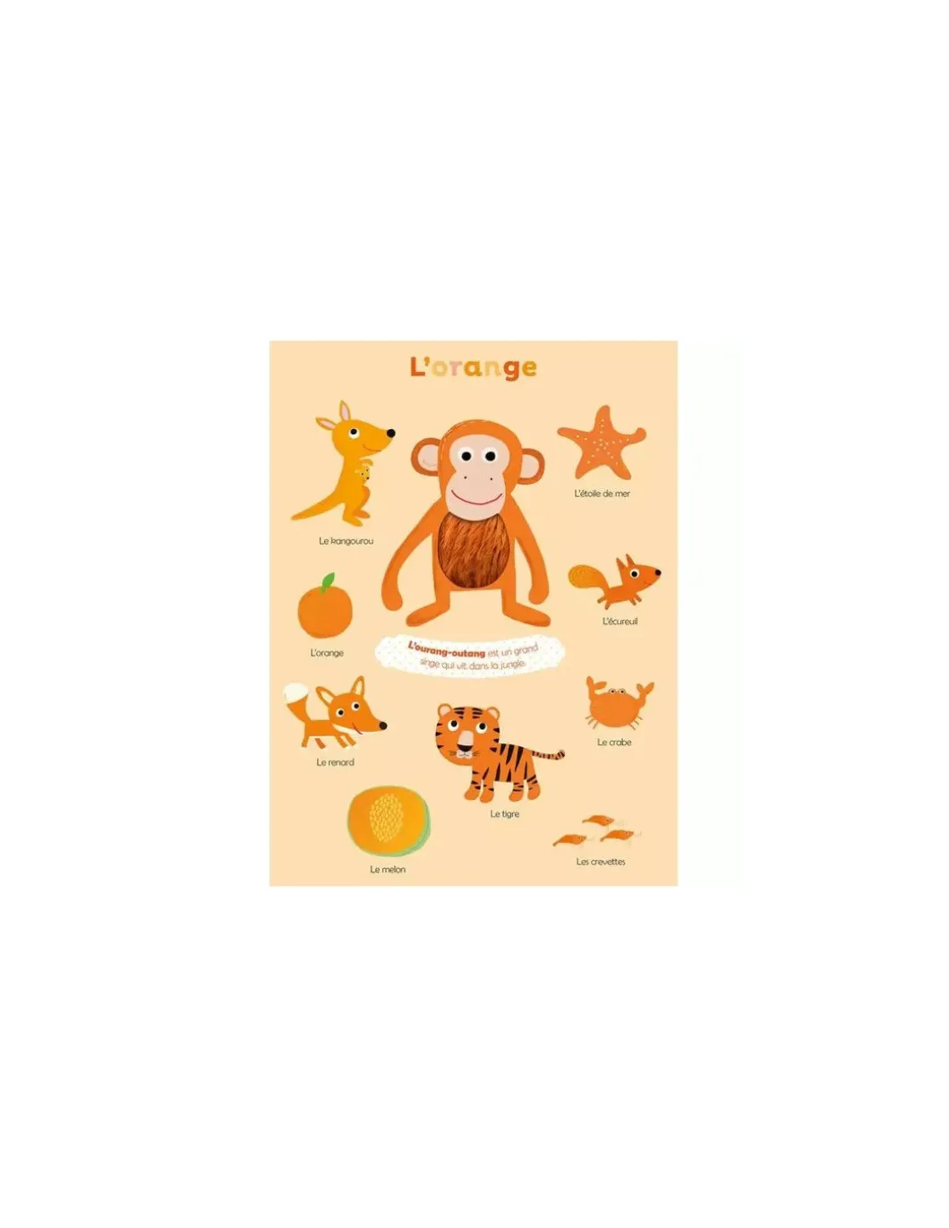 Livre Mes premières couleurs à toucher - Auzou