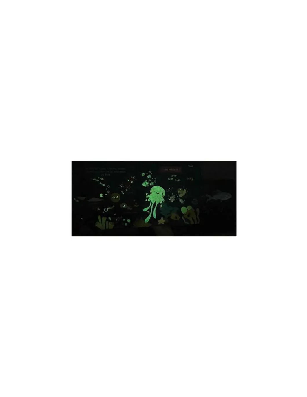 Livre Mon Anim'agier je brille dans la nuit - Auzou