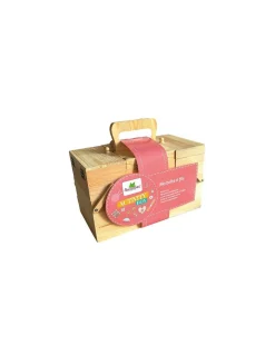 Ma box d'activités fils - Sycomore