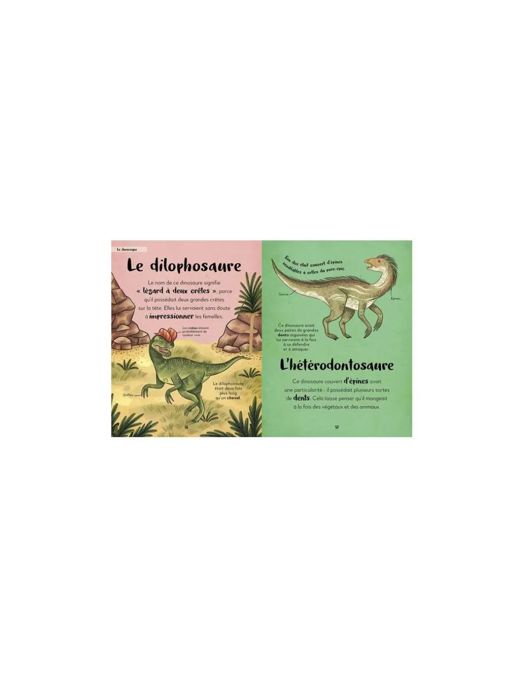 Ma première anthologie des dinosaures - Auzou