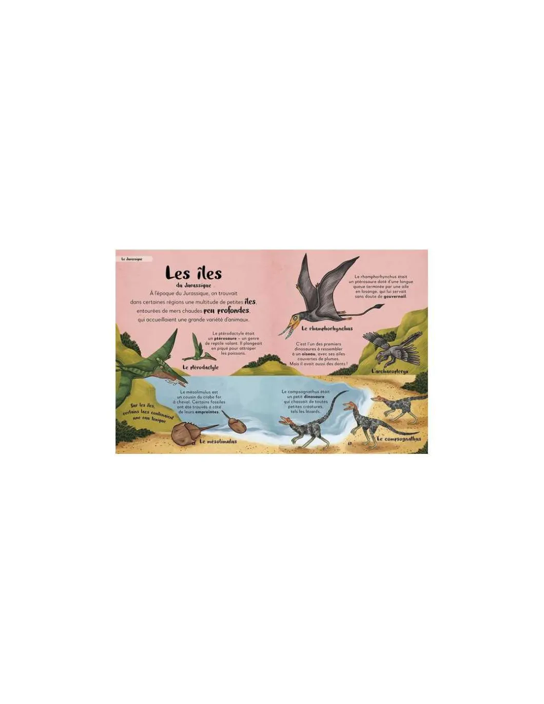 Ma première anthologie des dinosaures - Auzou