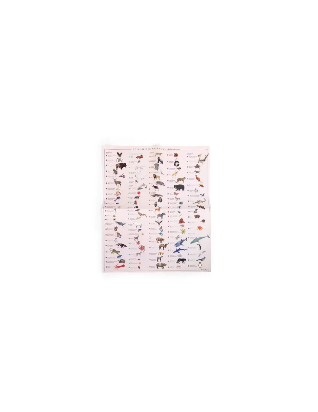 Mappemonde avec décalcomanies Tout autour du monde - Moulin Roty