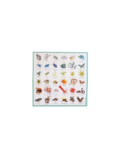 Memory des animaux Tout autour du monde - Moulin Roty