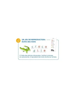 Mon grand coffret des lettres - Djeco
