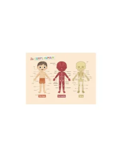Mon petit coffret aimanté le corps humain - Auzou