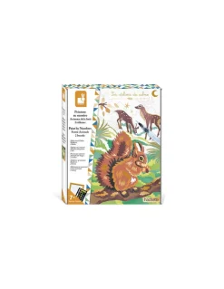 Peinture au numéro animaux de la forêt - Janod
