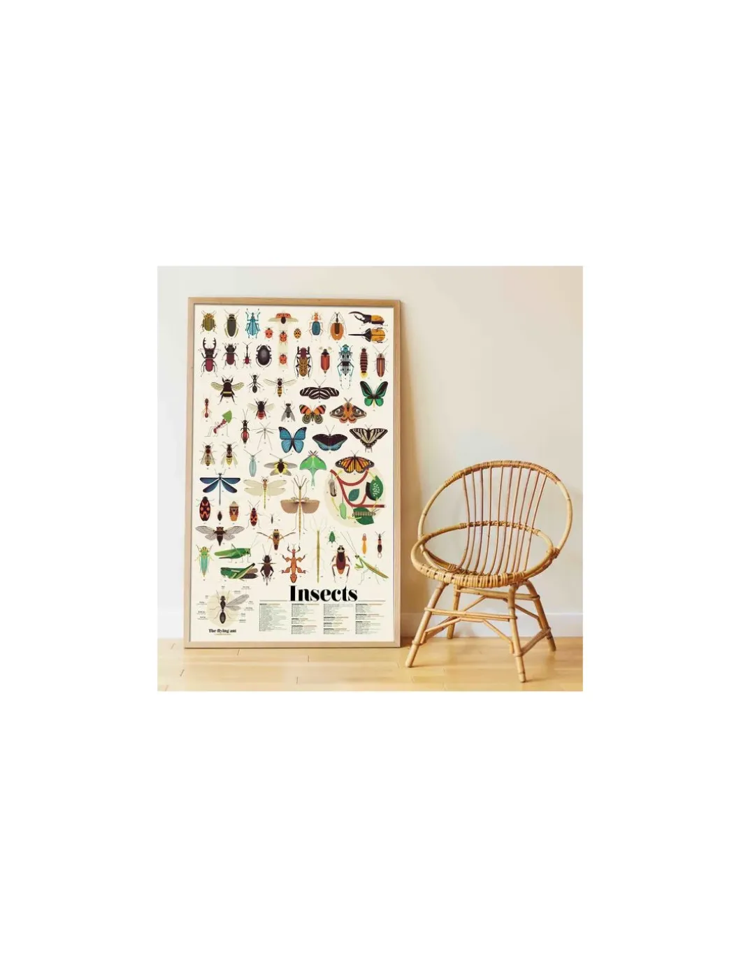 Poster en stickers insectes - Poppik