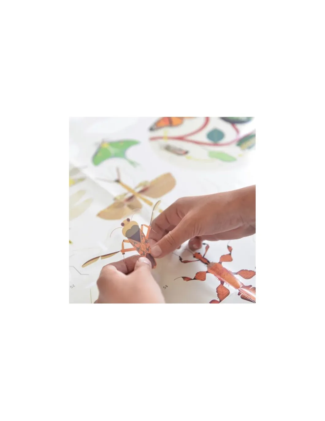 Poster en stickers insectes - Poppik