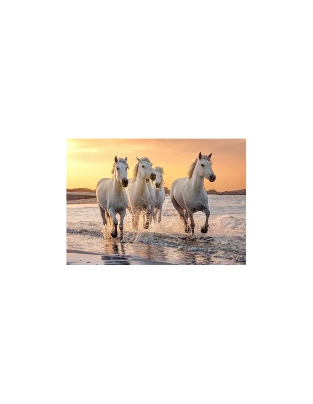 Puzzle Chevaux en Camargue 500 pièces XL - Sentosphère