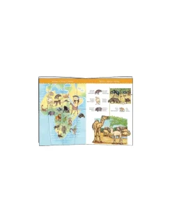 Puzzle d'observation animaux du monde 100 pièces - Djeco
