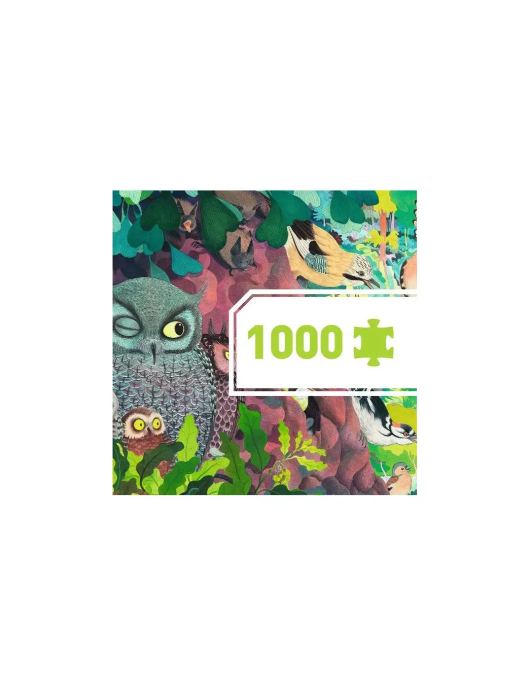 Puzzle gallery Owls and birds 1000 pièces - Djeco