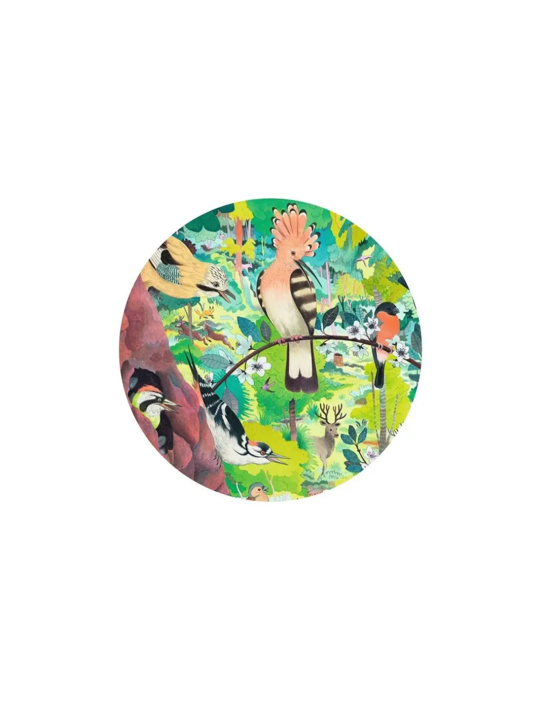 Puzzle gallery Owls and birds 1000 pièces - Djeco