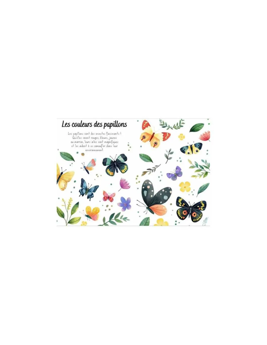 Puzzle magique à l'eau Les Papillons - Sassi
