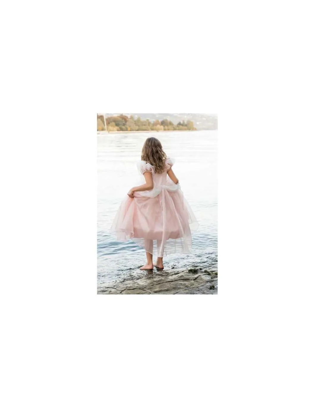 Robe de princesse antique 4-6 ans - Great Pretenders
