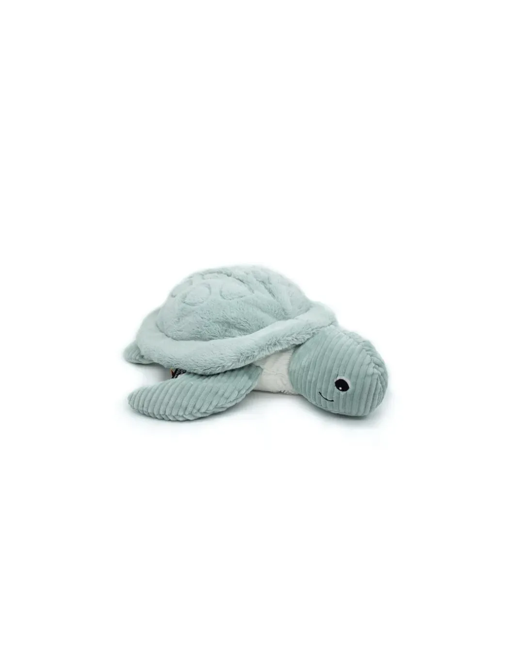 Sauvenou la tortue géante menthe - Les Ptipotos by Déglingos