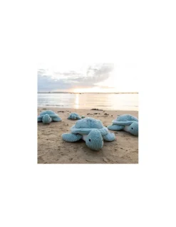 Sauvenou la tortue géante menthe - Les Ptipotos by Déglingos