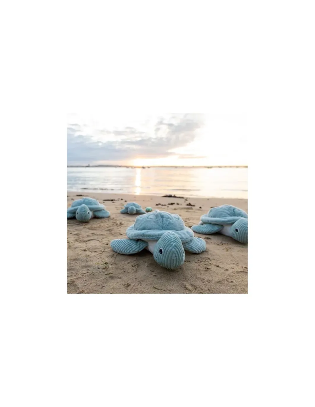 Sauvenou la tortue géante menthe - Les Ptipotos by Déglingos