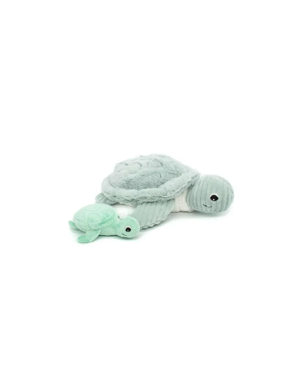 Sauvenou la tortue menthe - Les Ptipotos by Déglingos
