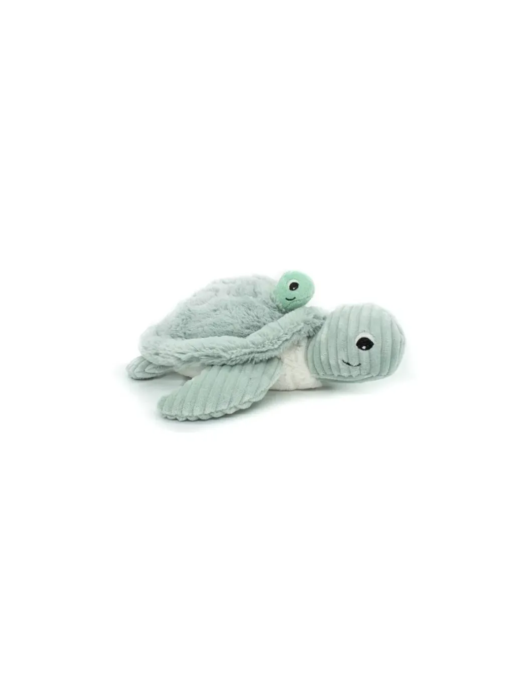 Sauvenou la tortue menthe - Les Ptipotos by Déglingos