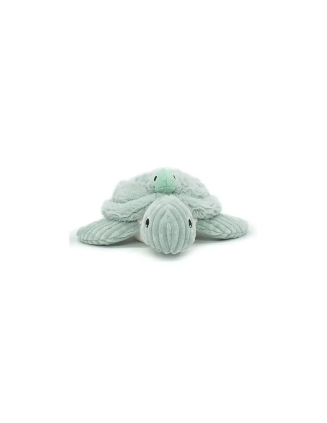 Sauvenou la tortue menthe - Les Ptipotos by Déglingos