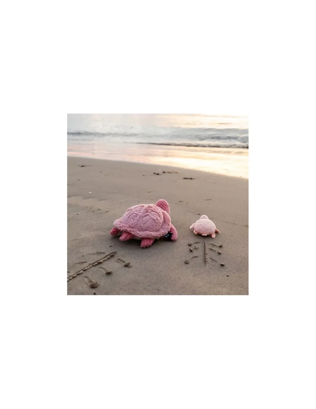 Sauvenou la tortue rose - Les Ptipotos by Déglingos
