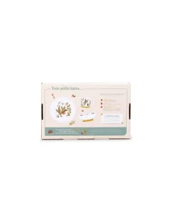Set vaisselle porcelaine Trois Petits Lapins - Moulin Roty