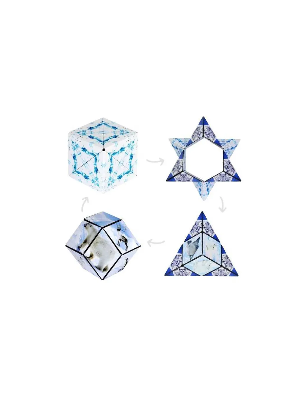 Shashibo Arctic