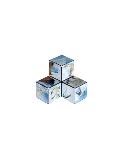Shashibo Arctic