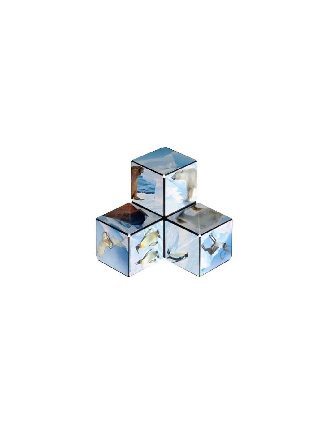Shashibo Arctic