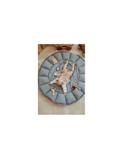 Tapis de jeu 3 en 1 Bloom bleu - PlayandGo