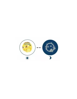 Tatouages phospho sweet dreams - Djeco