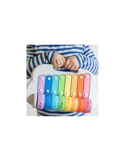 Xylophone à rouleaux arc en ciel - Tiger tribe