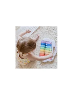Xylophone à rouleaux arc en ciel - Tiger tribe